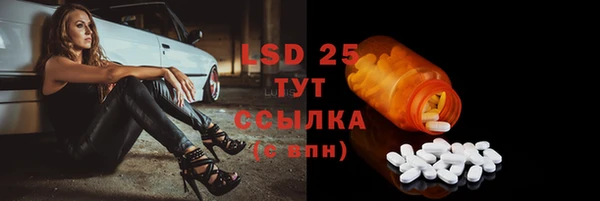 ECSTASY Медвежьегорск