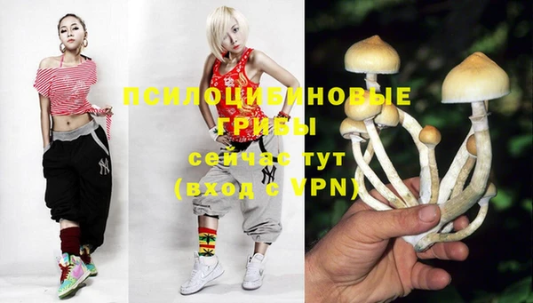 стафф Михайловка