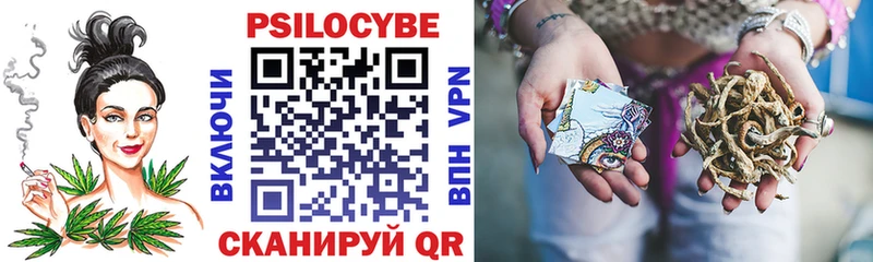купить наркоту Тогучин Галлюциногенные грибы мицелий